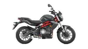 Benelli BN 302