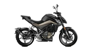 CFMoto 300 NK
