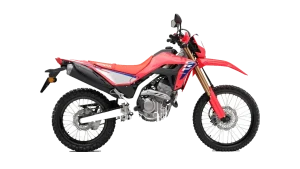 Honda CRF300L / Rally