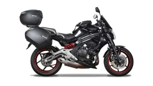 Kawasaki ER-6n / ER-6f