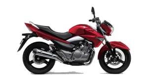 Suzuki Inazuma 250